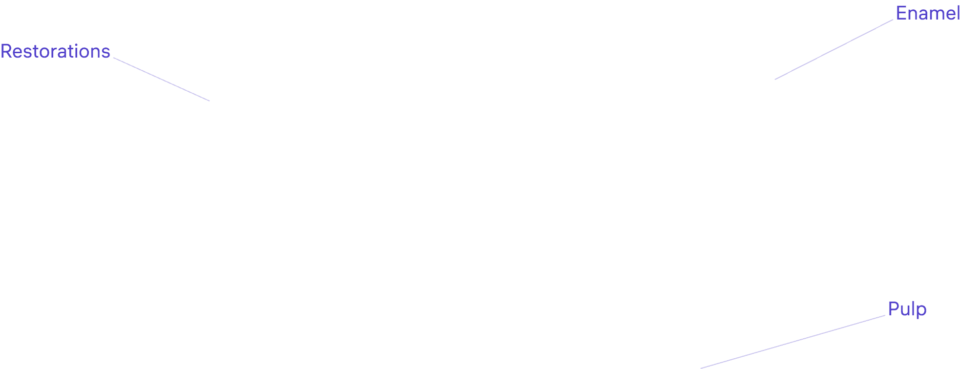 tooth