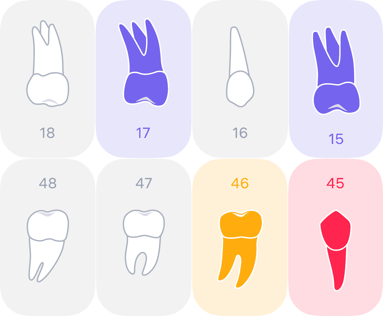 Dental chart