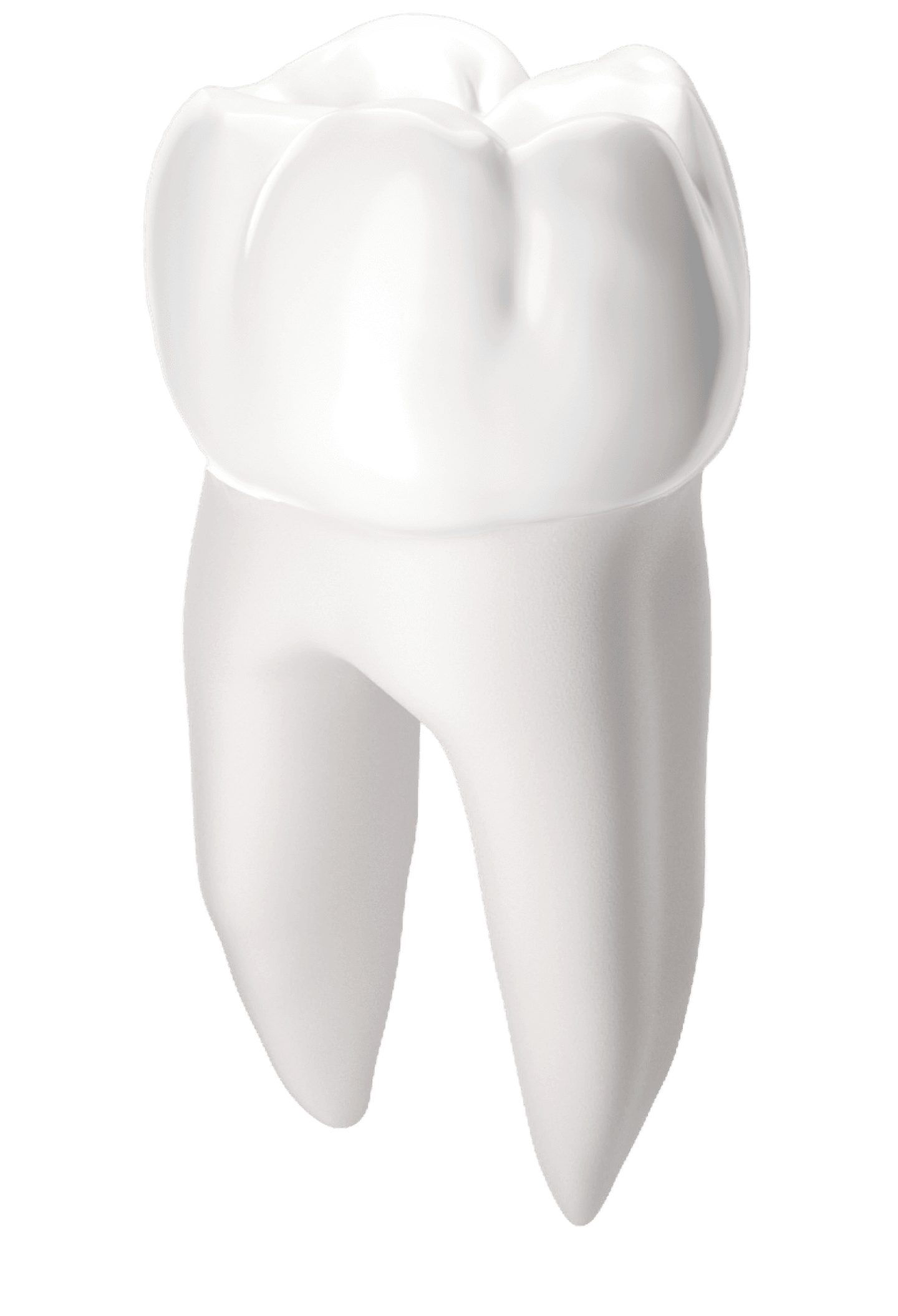 tooth