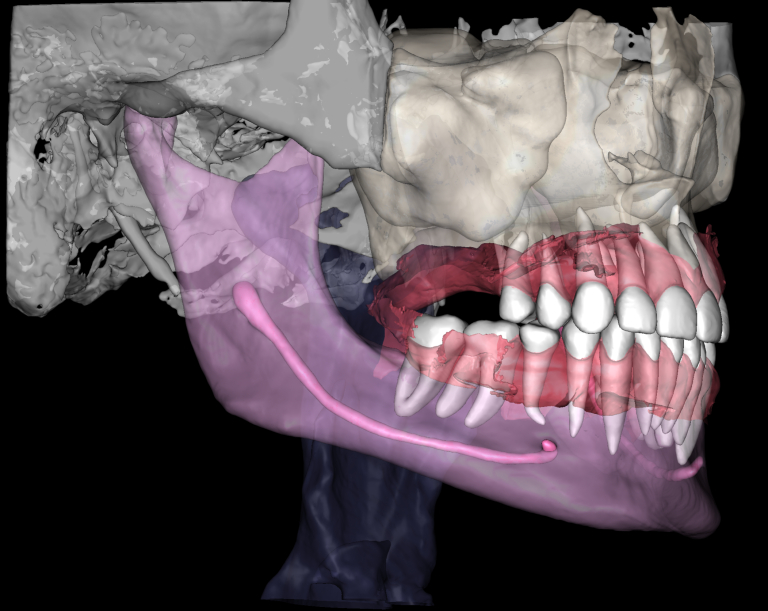 Multispeciality Clinic and Dental Service Organizations (DSO) 23