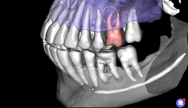 Multispeciality Clinic and Dental Service Organizations (DSO) 23