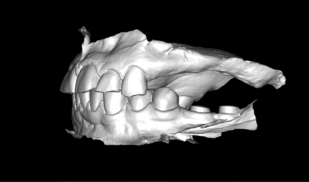 Implantatplanung zusammen mit dem Diagnocat STL-Modul 3